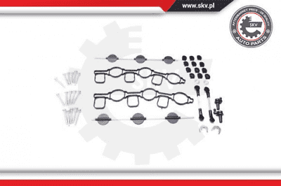 ESEN SKV Repair Kit, Intake Manifold Module 96SKV050 for Audi Porsche VW